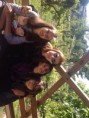 /album/escola-da-ponte-no-guardizela-golg-club/a946984-462576710493902-1339513655-n-jpg/